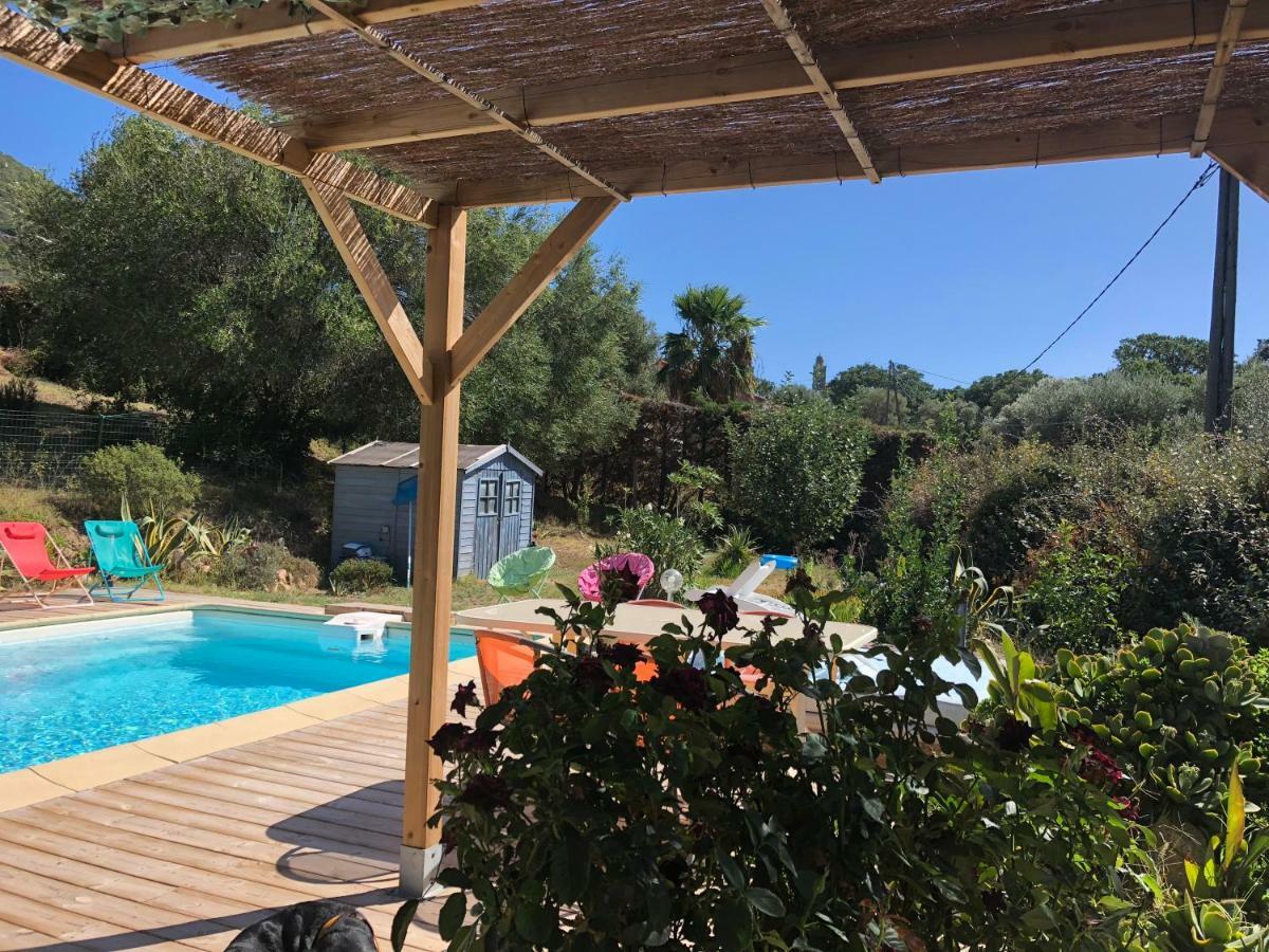 מונאצ'ה-ד'אולן B&B Macchia Verdata Avec Piscine מראה חיצוני תמונה